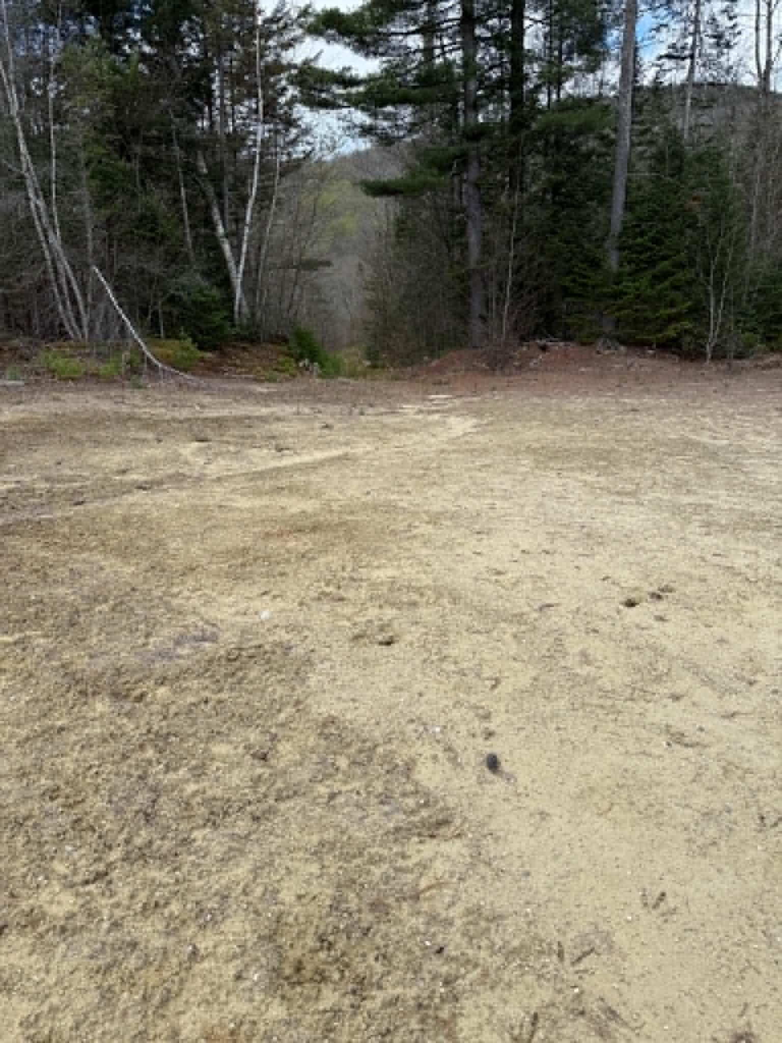 Lot 7 Bog Road Enfield, NH 03748 - Photo 1 of 5 Gallery Image 1