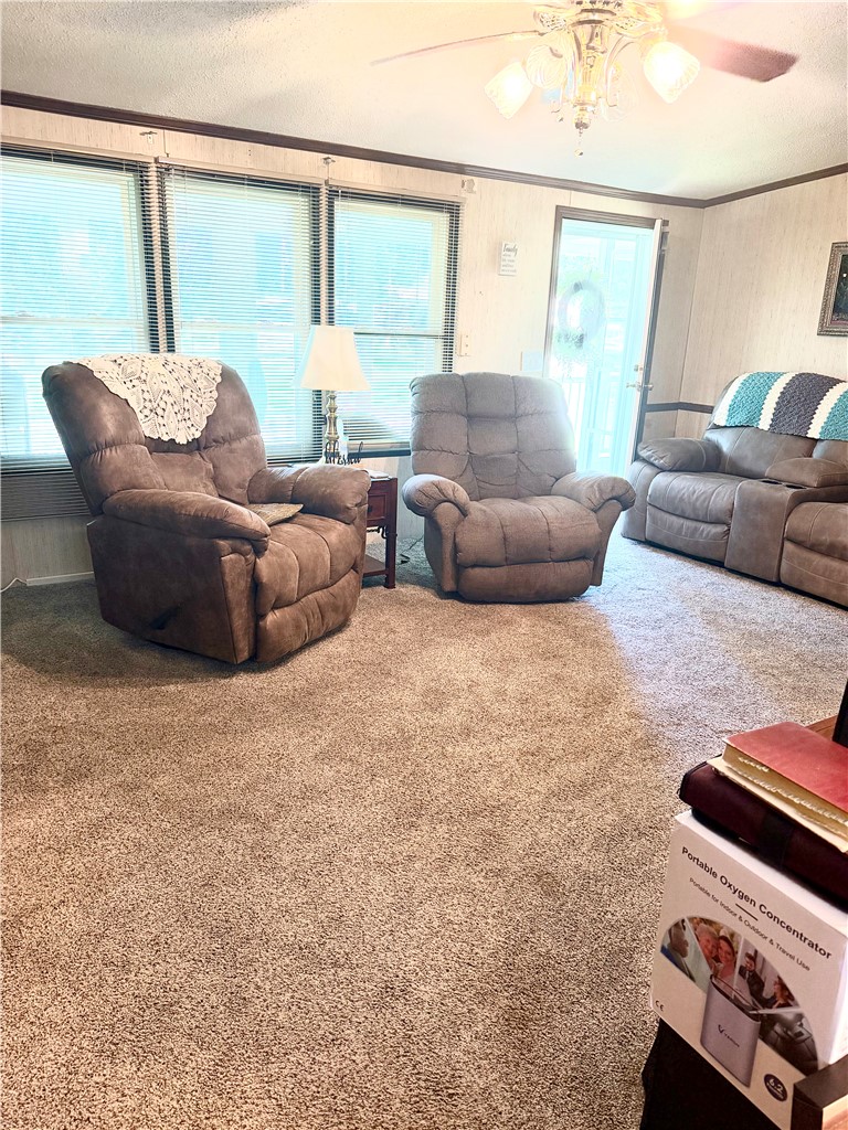 1549 Greenfield Road Westminster, SC 29693 - Photo 21 of 49 A relaxed living area welcomes with abundant natural light and soft, plush carpeting.