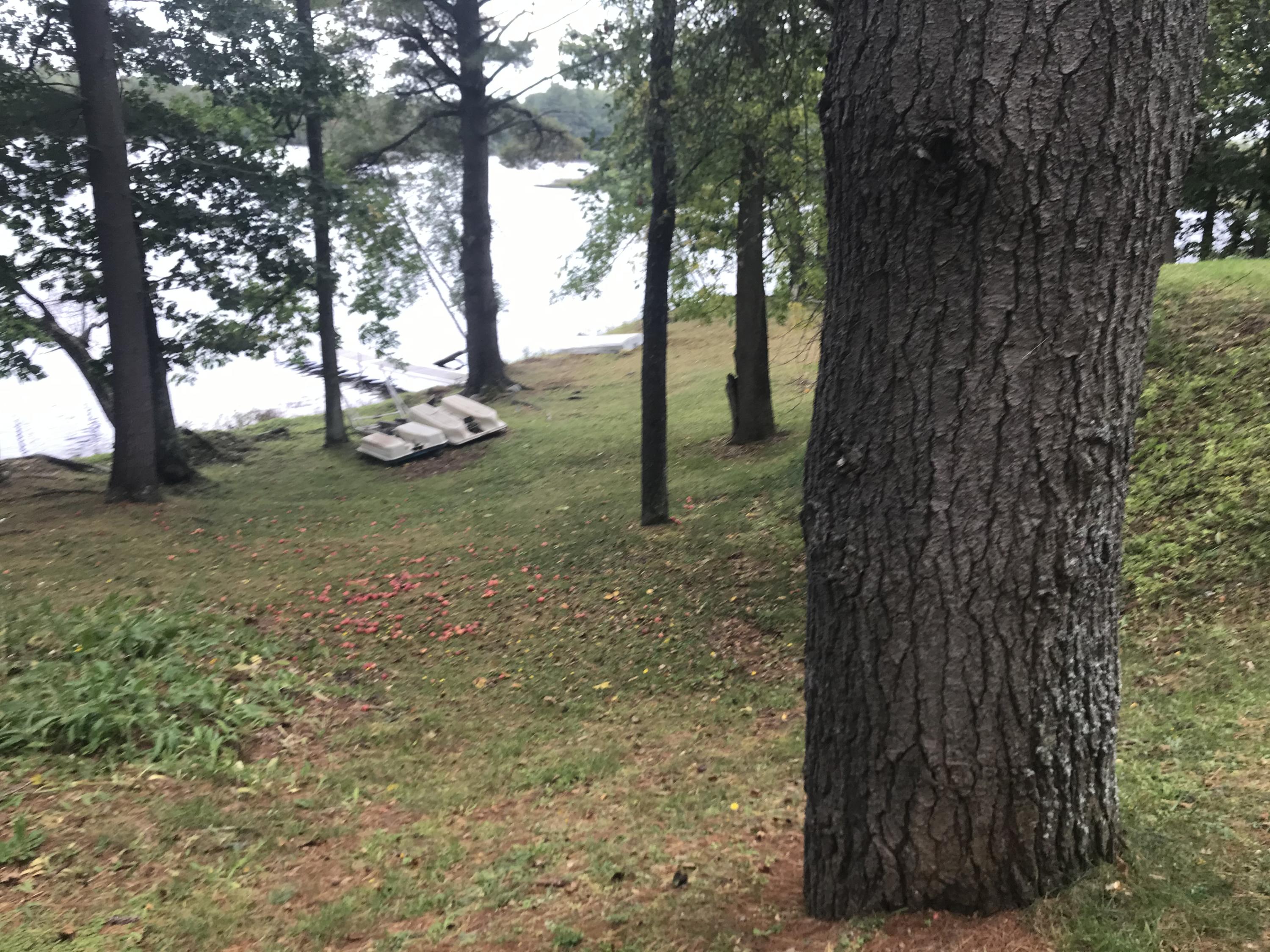 1152 River Road Clinton, ME 04927 - Photo 21 of 24 Grounds