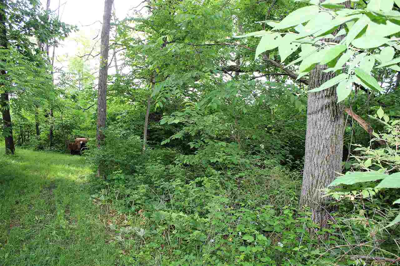 216th Street Bellevue, IA 52031 - Photo 21 of 24 Gallery Image 21
