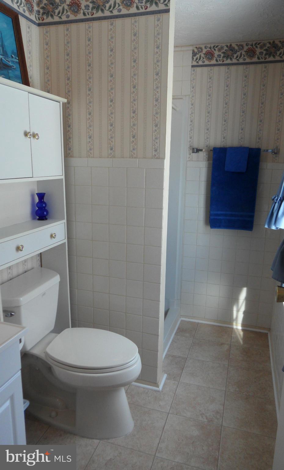 420 Belle Grove Road Gaithersburg, MD 20877 - Photo 15 of 30 Bath (Master)