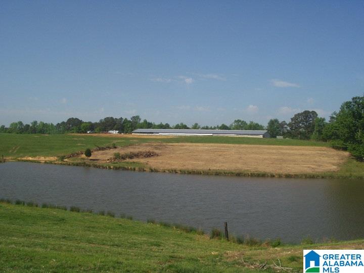 1099 Dailey Road, Unit 1 Altoona, AL 35952 - Photo 11 of 17