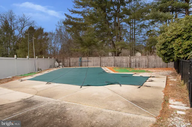 a view of a park with large trees
