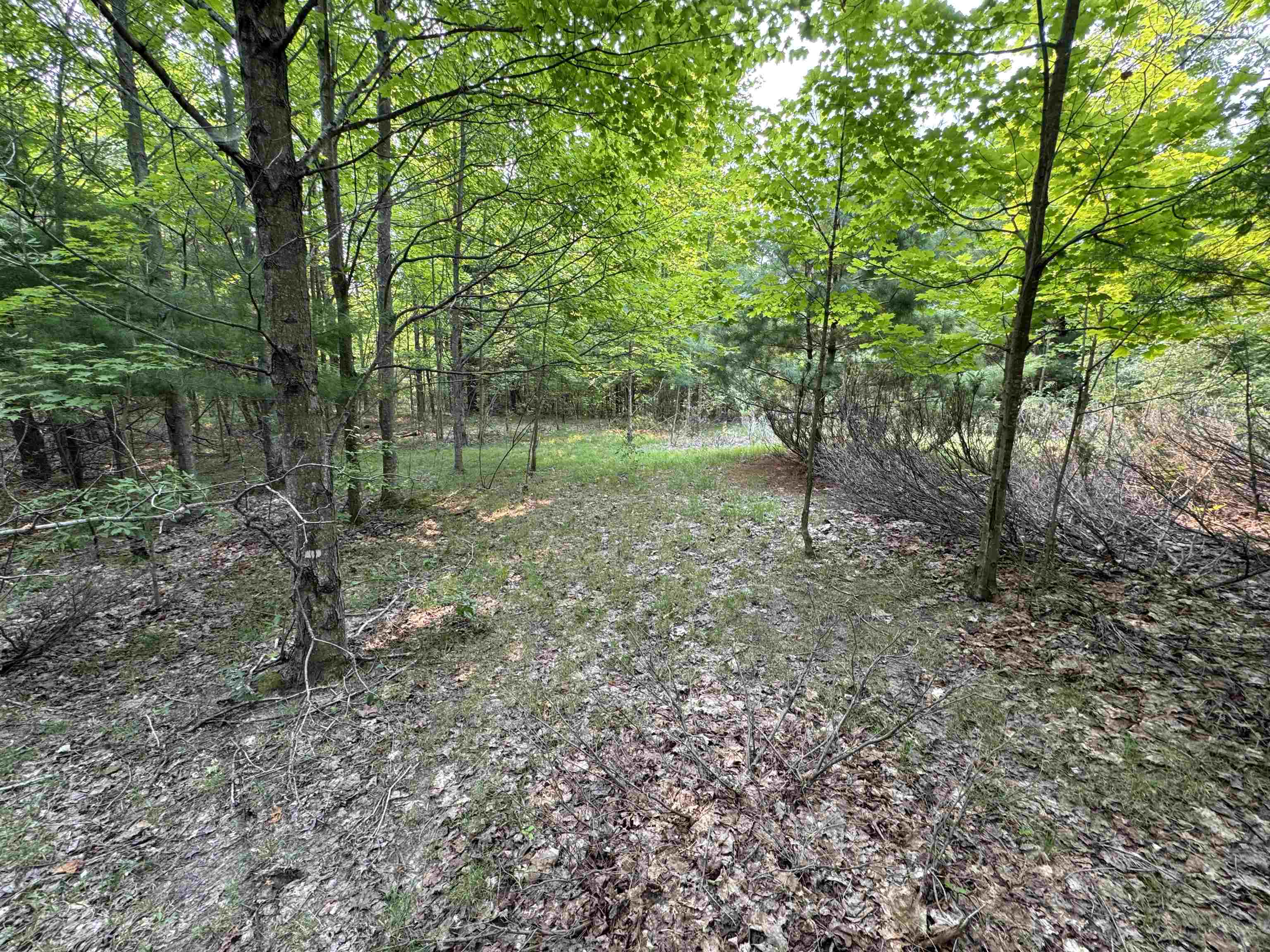 Lot #1 East Bellinger Road, Unit BELLINGER ESTATES #1 LOT: Cedar, MI 49621 - Photo 8 of 14
