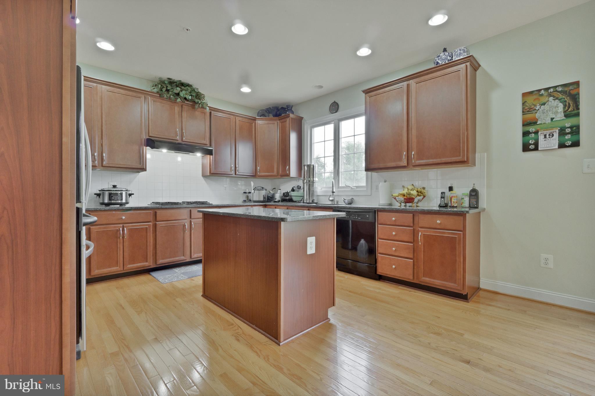 12626 Bright Spring Way Boyds, MD 20841 - Photo 11 of 30 Gourmet kitchen