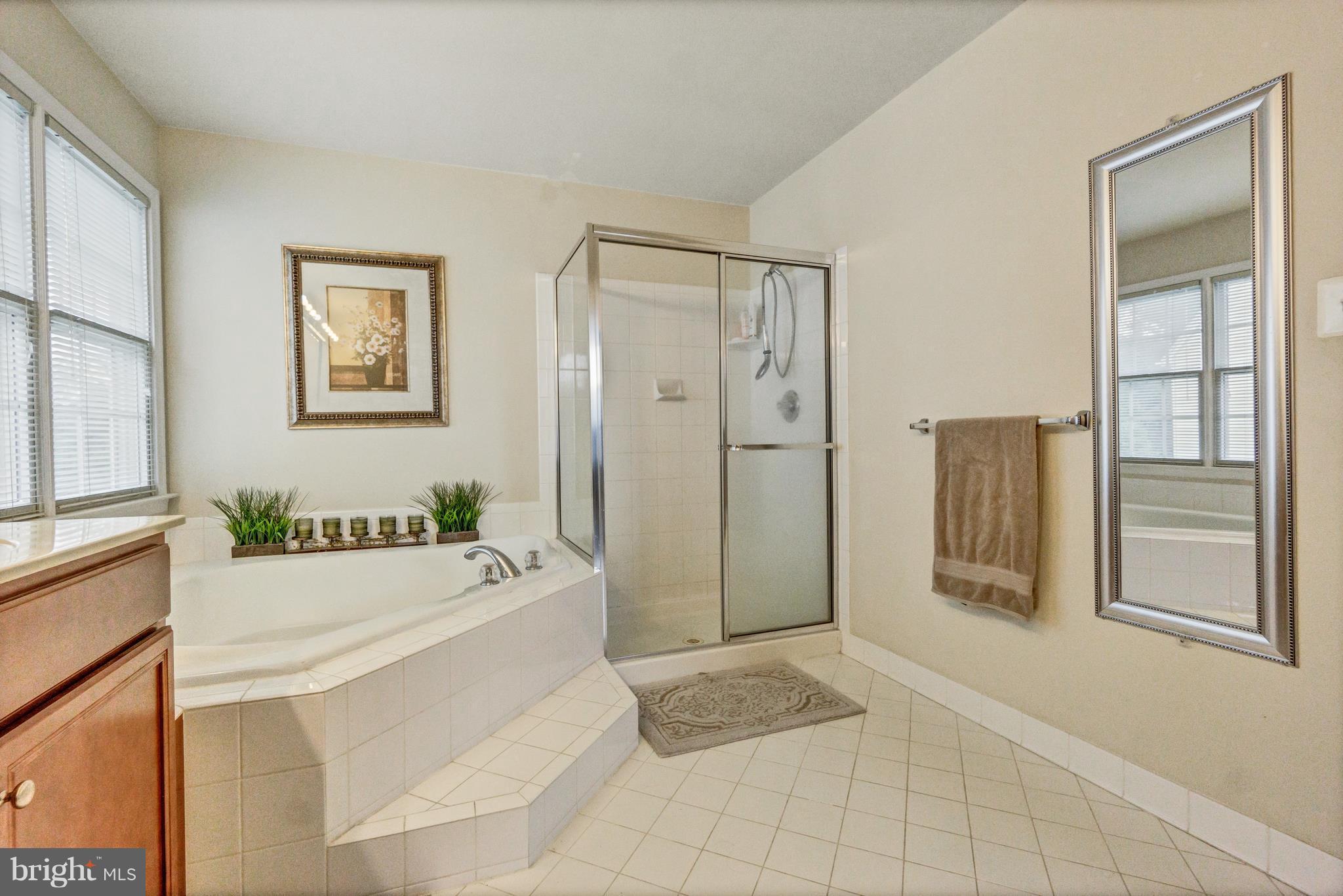 12626 Bright Spring Way Boyds, MD 20841 - Photo 20 of 30 Bedroom (Master)