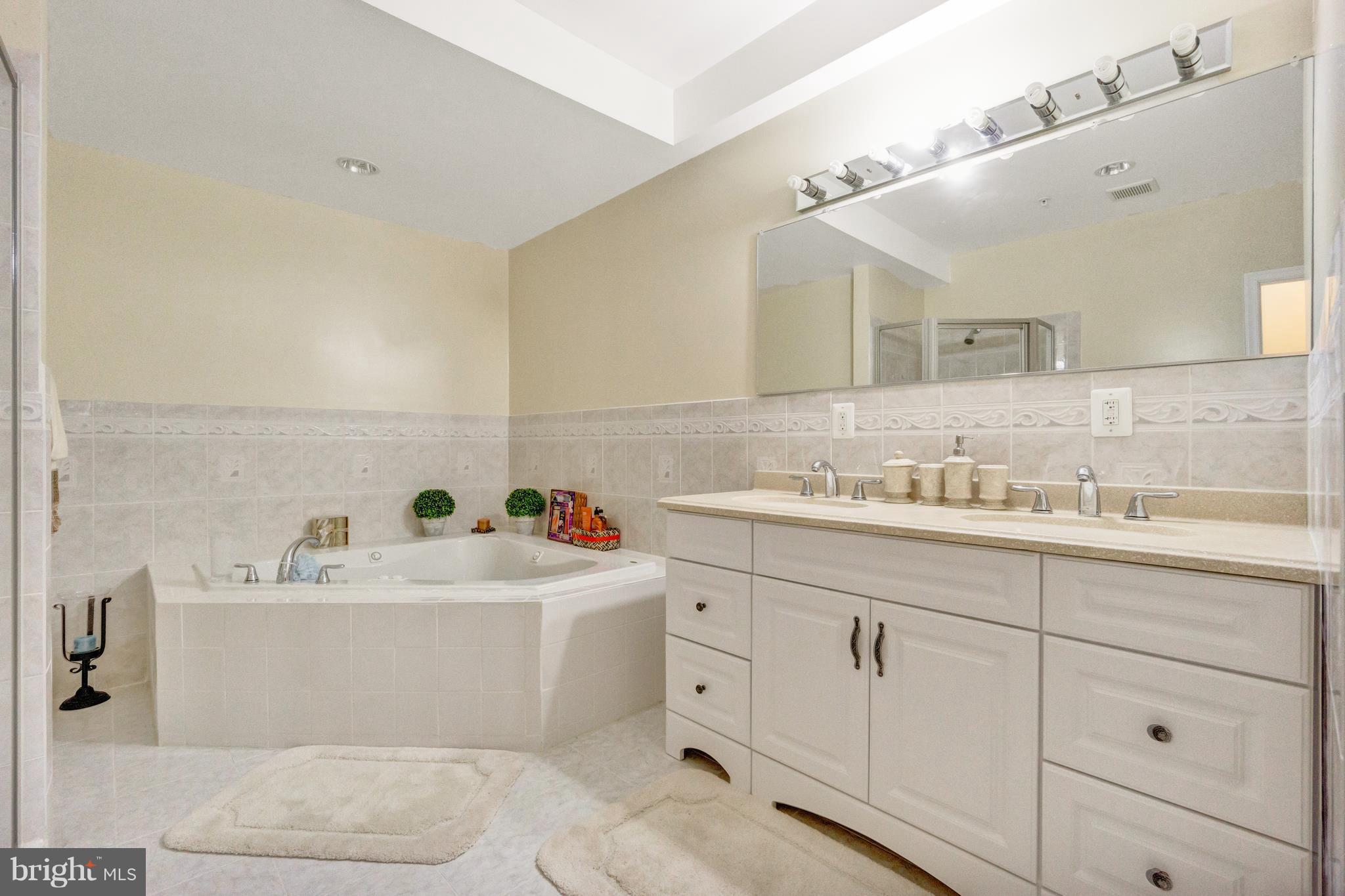 12626 Bright Spring Way Boyds, MD 20841 - Photo 29 of 30 Basement/full bath with jaccuzi