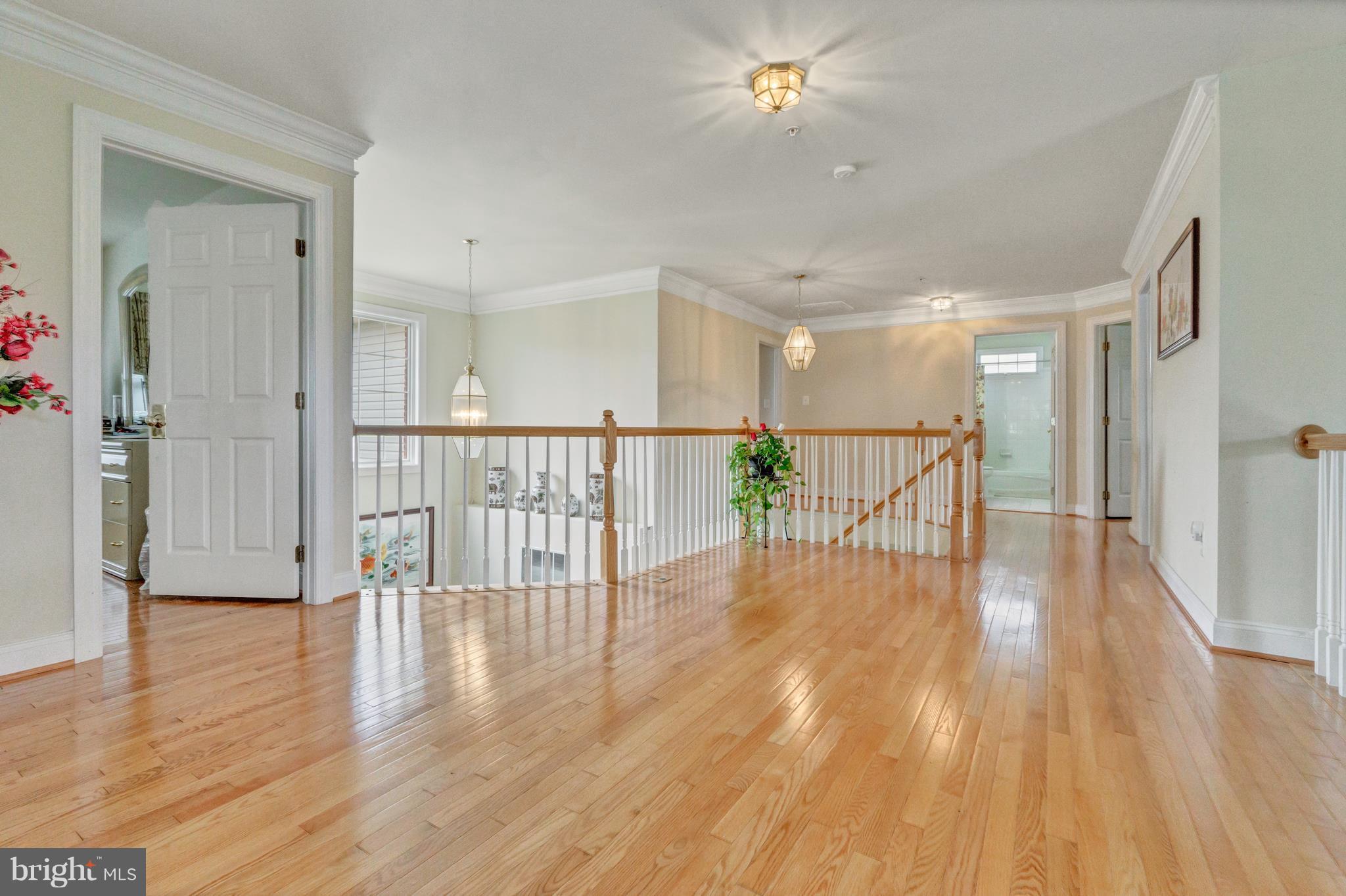 12626 Bright Spring Way Boyds, MD 20841 - Photo 4 of 30 Landing/ Upper hallway