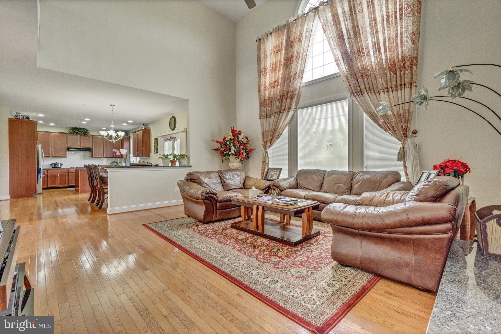 12626 Bright Spring Way Boyds, MD 20841 - Photo 6 of 30 2 story family room