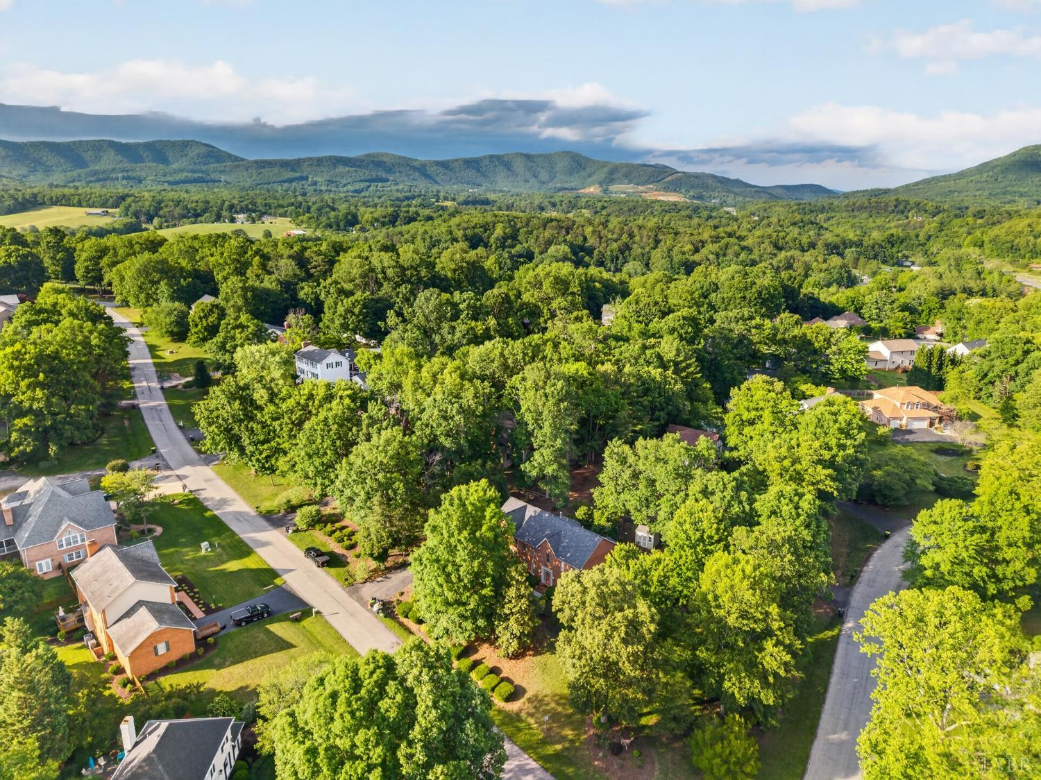 24 Queen Regent Court Blue Ridge, VA 24064 - Photo 70 of 73
