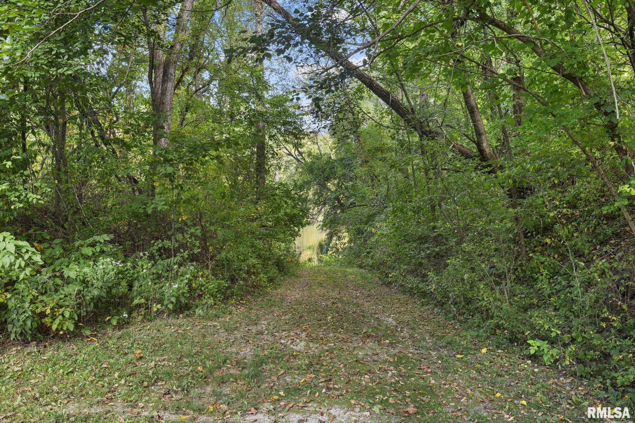 35261 North Middle Grove Road Farmington, IL 61531 - Photo 12 of 28