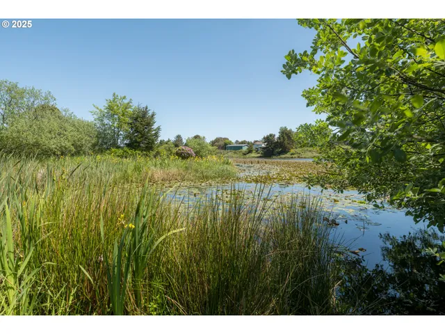 a swimming pool with trees in the background