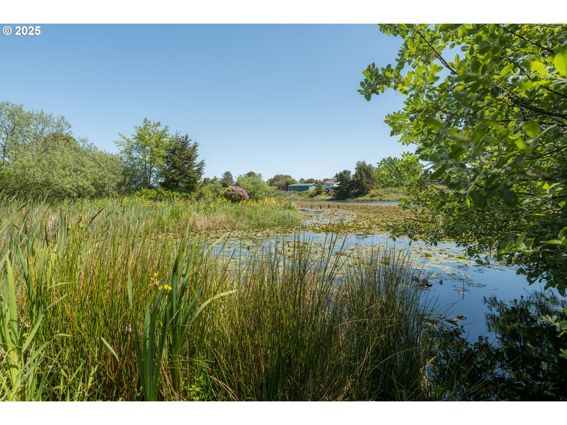 90431 Lewis Road Warrenton, OR 97146 - Photo 22 of 26 a view of lake with green space