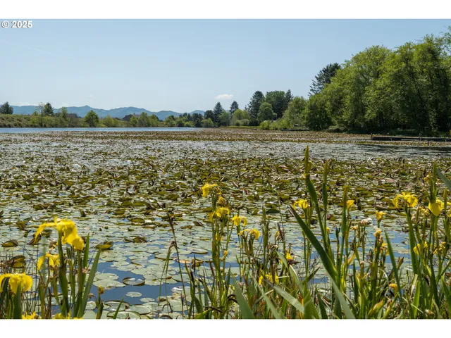 an aerial view of residential building and lake
