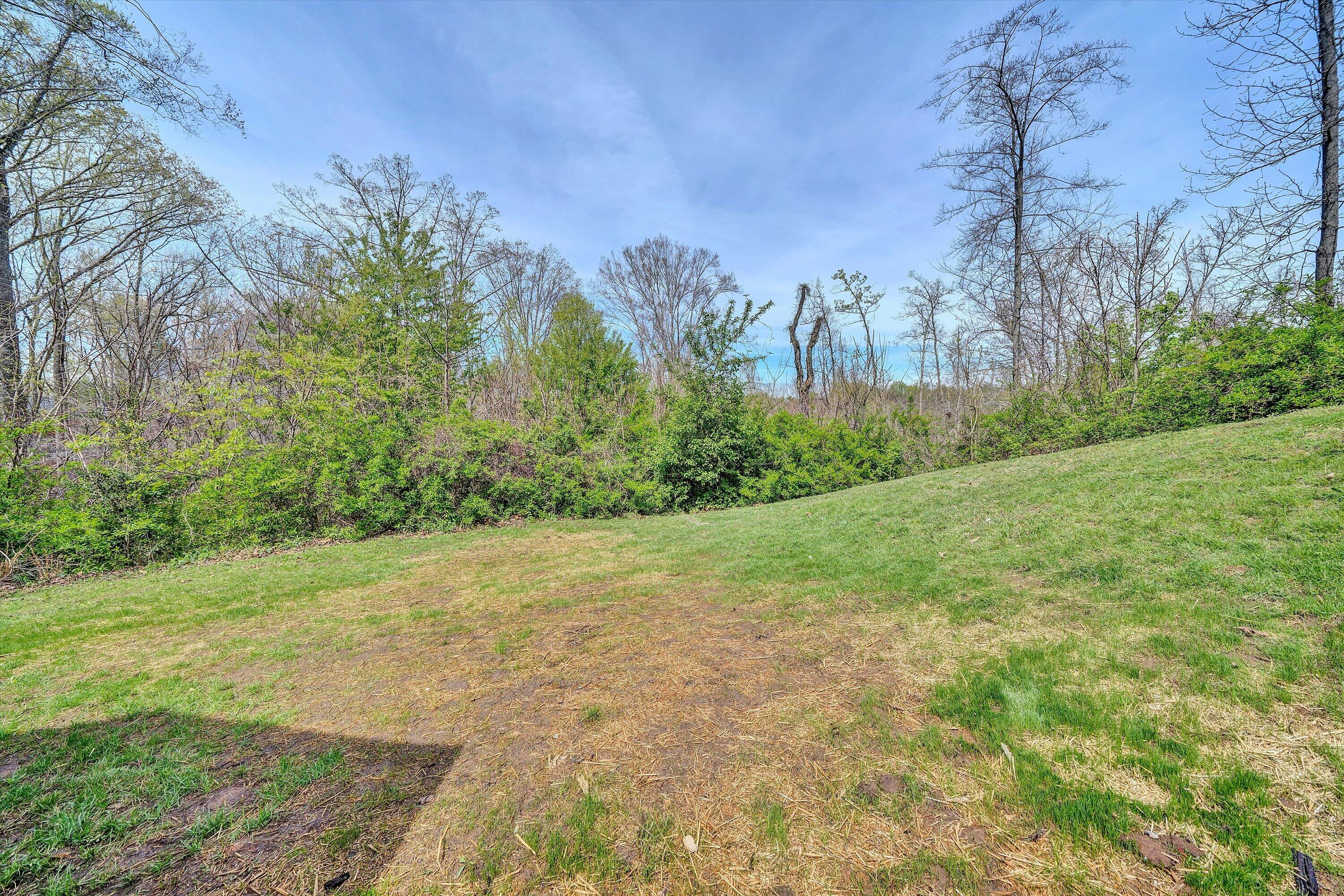 731 Bassett Heights Road Bassett, VA 24055 - Photo 34 of 45 a view of a yard with an tree