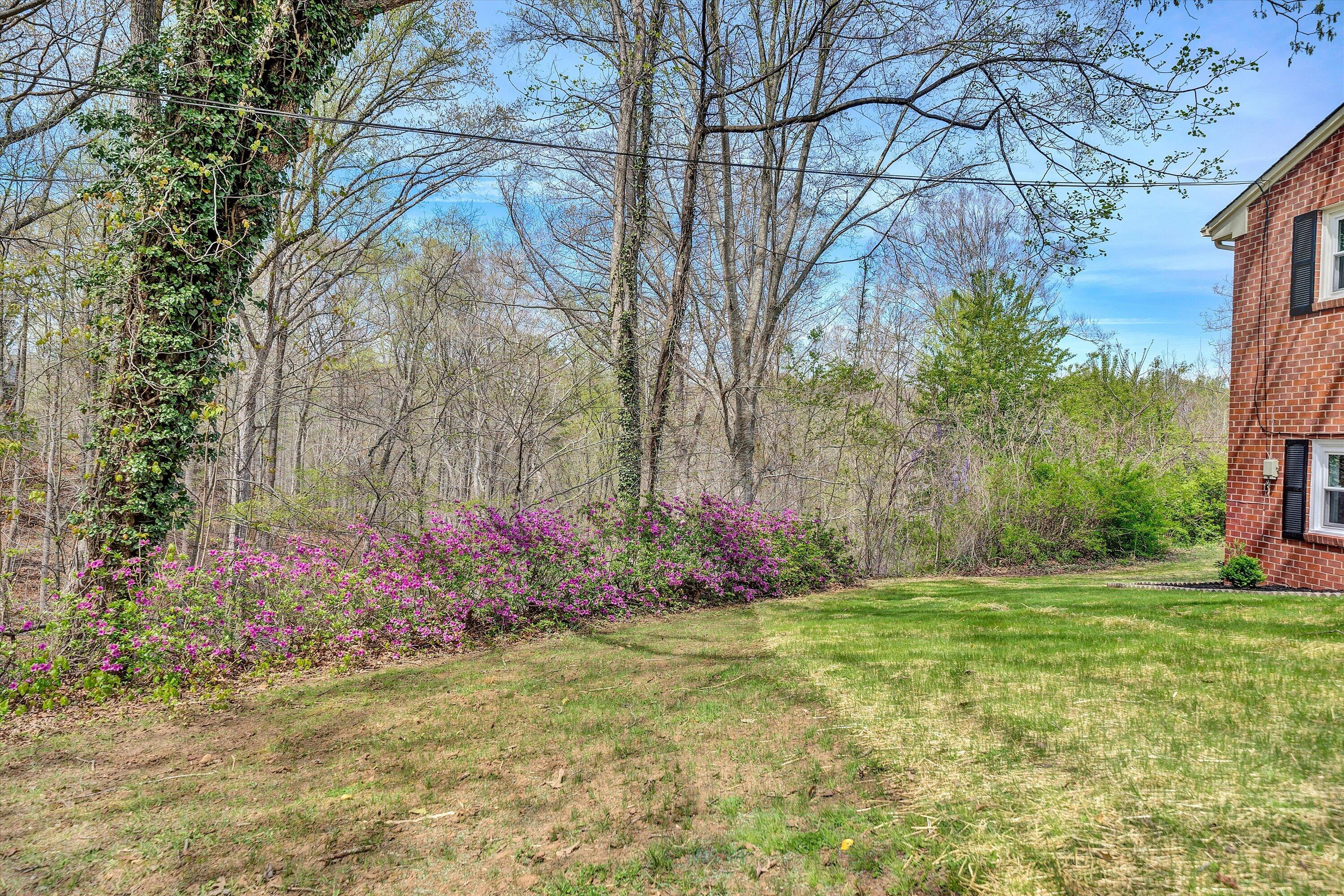 731 Bassett Heights Road Bassett, VA 24055 - Photo 40 of 45 a view of a outdoor space