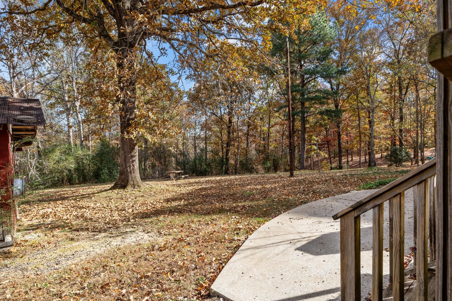 1260 Clydeton Road Waverly, TN 37185 - Photo 32 of 41 a view of a backyard with large trees