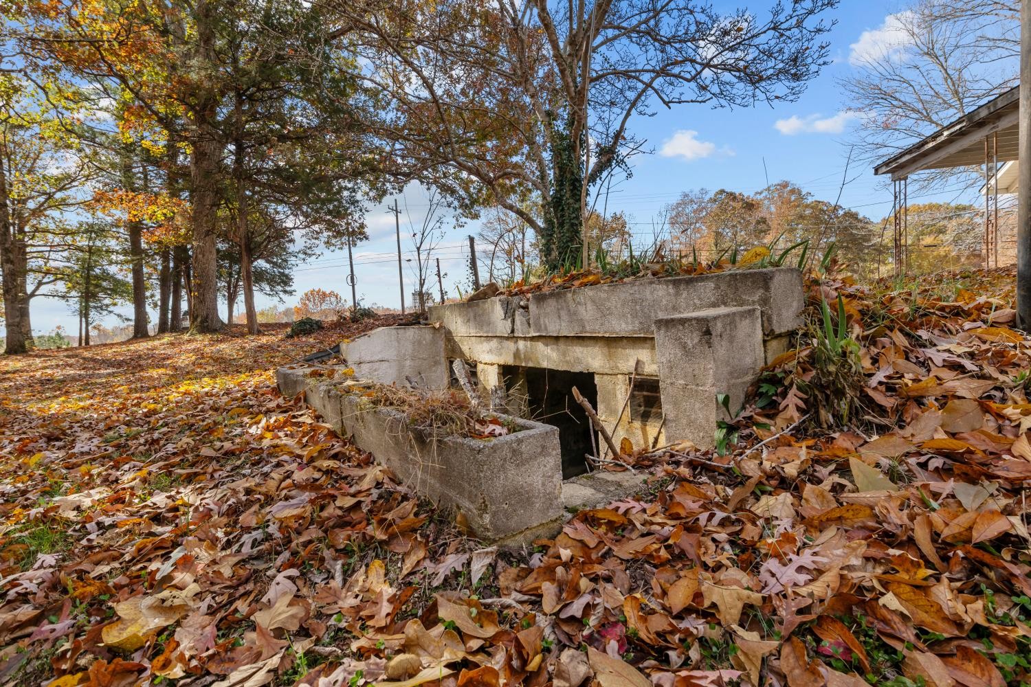 1260 Clydeton Road Waverly, TN 37185 - Photo 35 of 41 a view of a outdoor space with a tree