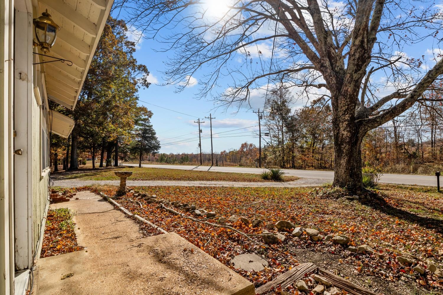 1260 Clydeton Road Waverly, TN 37185 - Photo 4 of 41 a view of a yard with trees