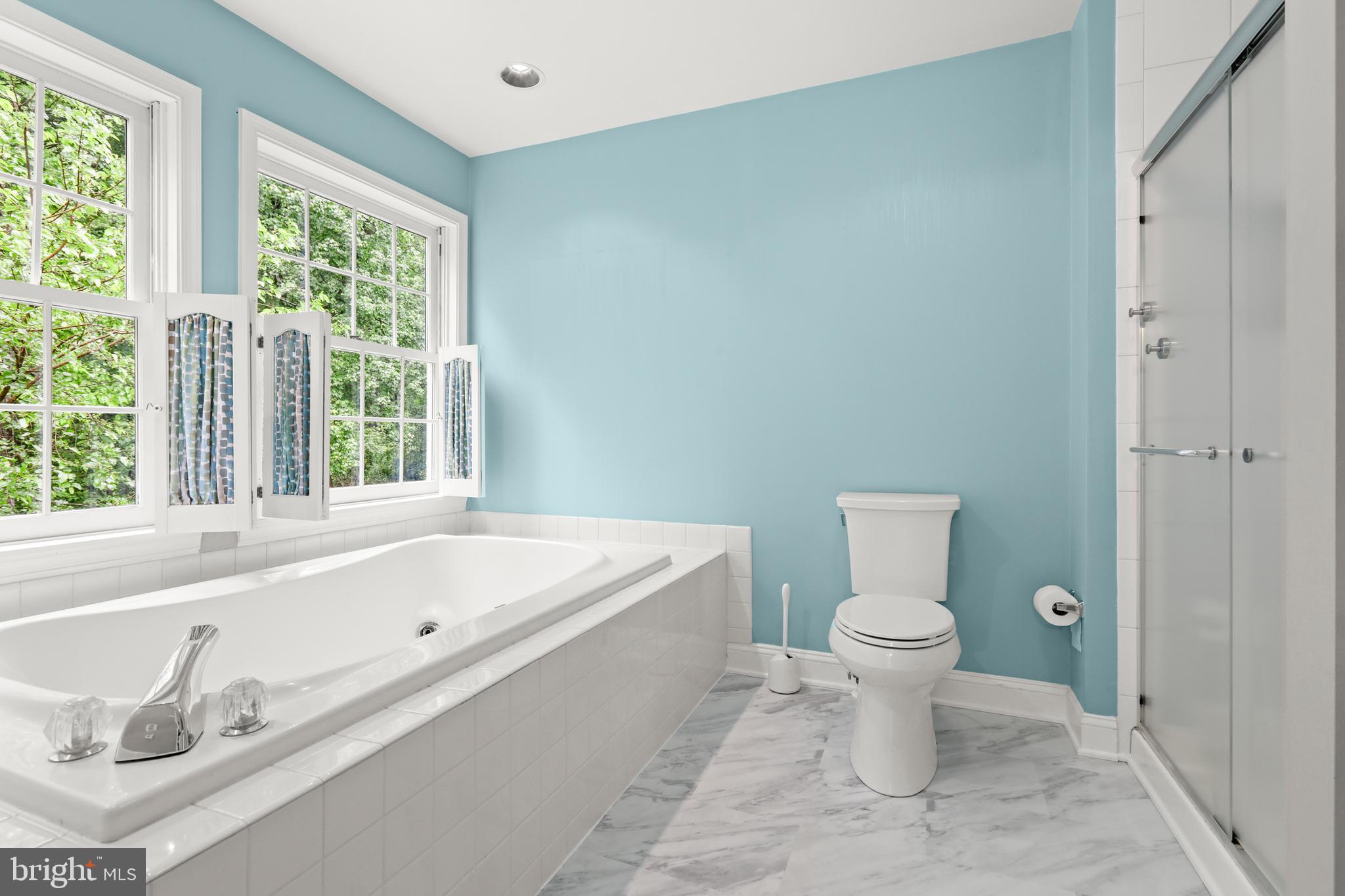 5602 Patterson Road Baldwin, MD 21013 - Photo 65 of 88 Primary Bath w/ jetted garden tub & Walk-in shower