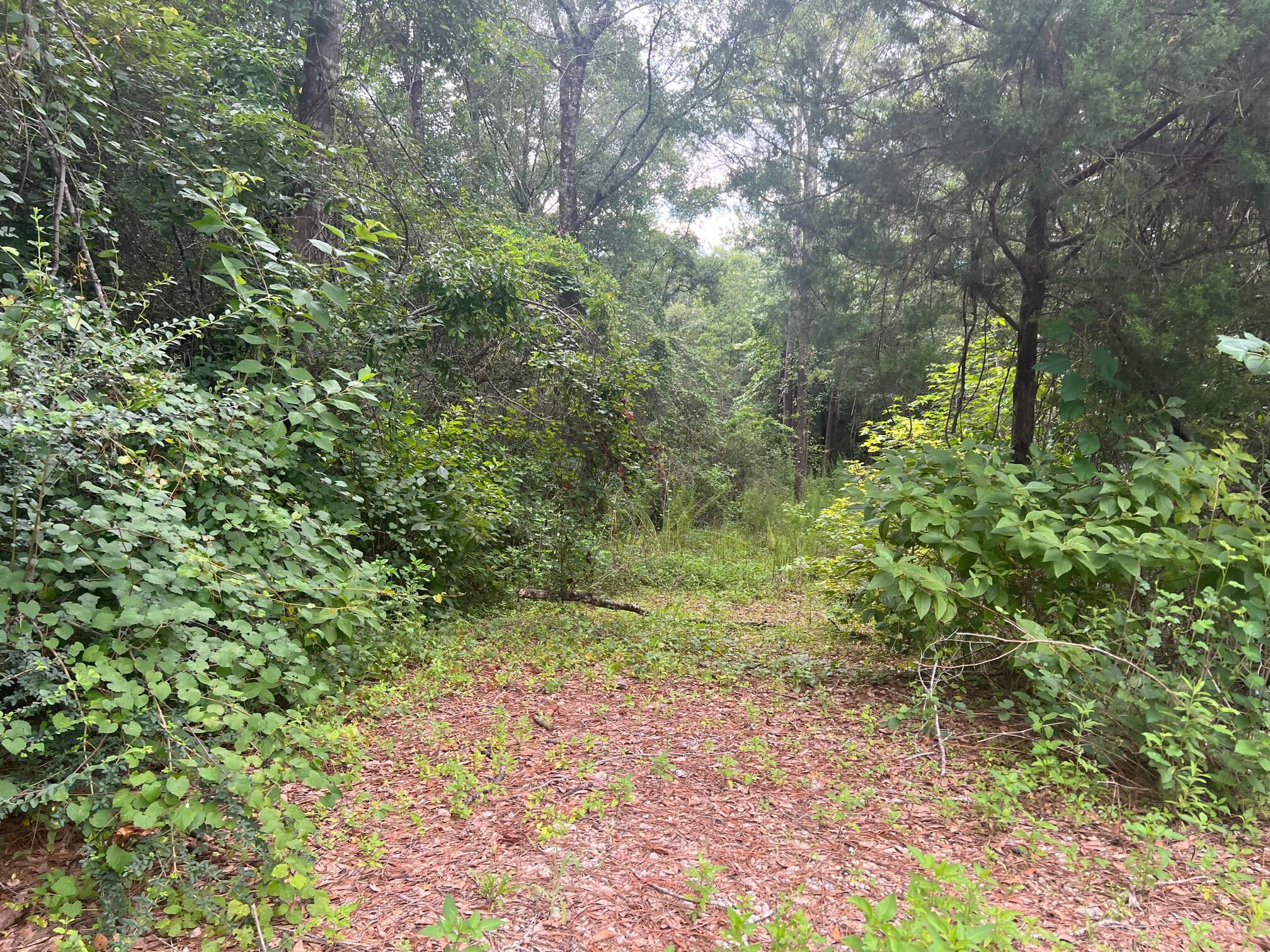 2.8-ac Miller Road DeFuniak Springs, FL 32435 - Photo 1 of 12 IMG_8926