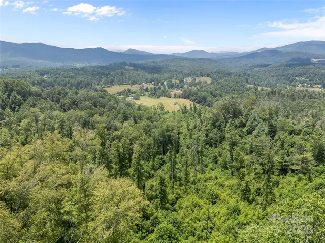 $1,190,000 | 1305 Halltown Road, Spruce Pine, NC 28777