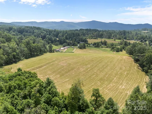 $1,190,000 | 1305 Halltown Road, Spruce Pine, NC 28777