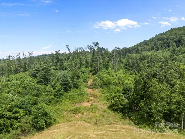 $1,190,000 | 1305 Halltown Road, Spruce Pine, NC 28777