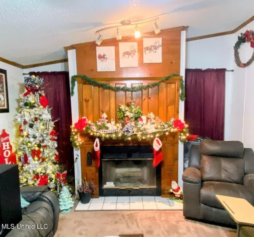 $217,000 | 2364 McNeill Steephollow Road, Poplarville, MS 39470