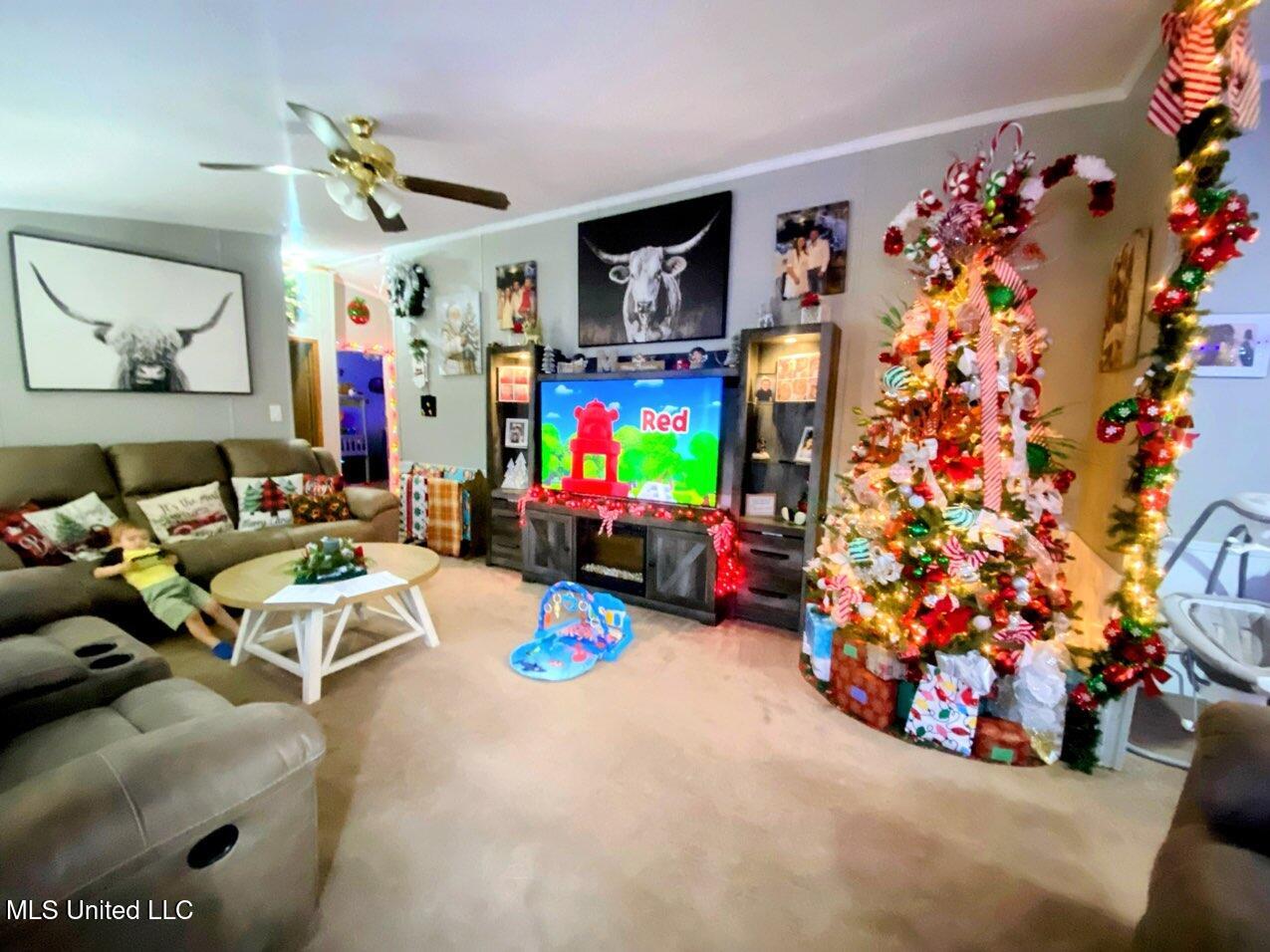 2364 McNeill Steephollow Road Poplarville, MS 39470 - Photo 11 of 19 2026-01-13 13-54 page 2 (2)