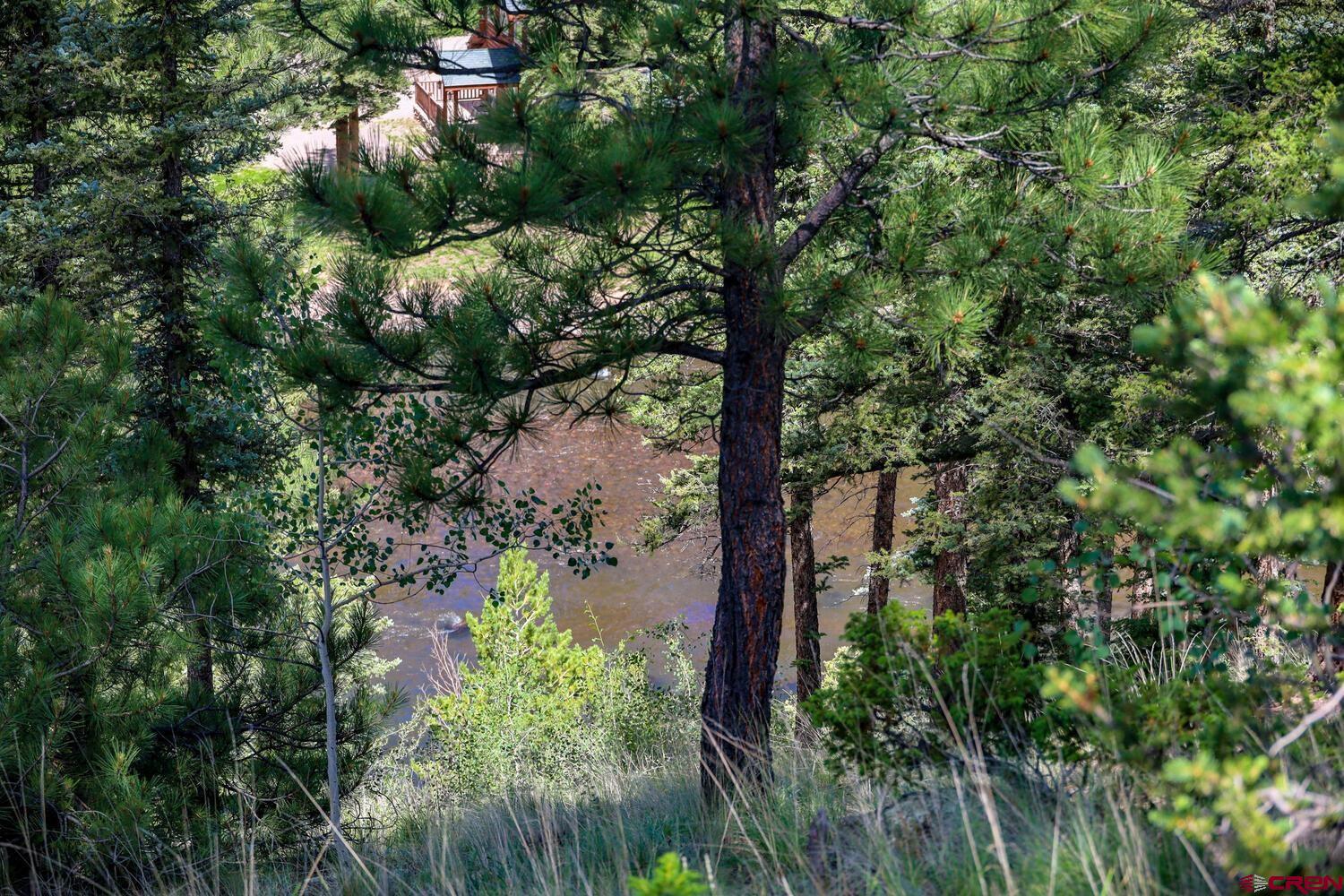 Lot 3 North N Ridge Antonito, CO 81120 - Photo 12 of 35 a view of a yard with plants and a large tree
