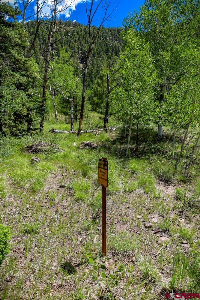 Lot 3 North N Ridge Antonito, CO 81120 - Photo 14 of 35 a view of a yard with a tree