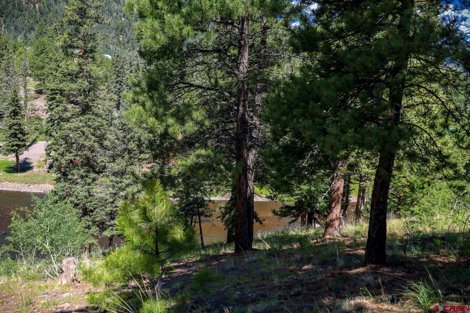 Lot 3 North N Ridge Antonito, CO 81120 - Photo 15 of 35 a view of a forest with trees in front of it
