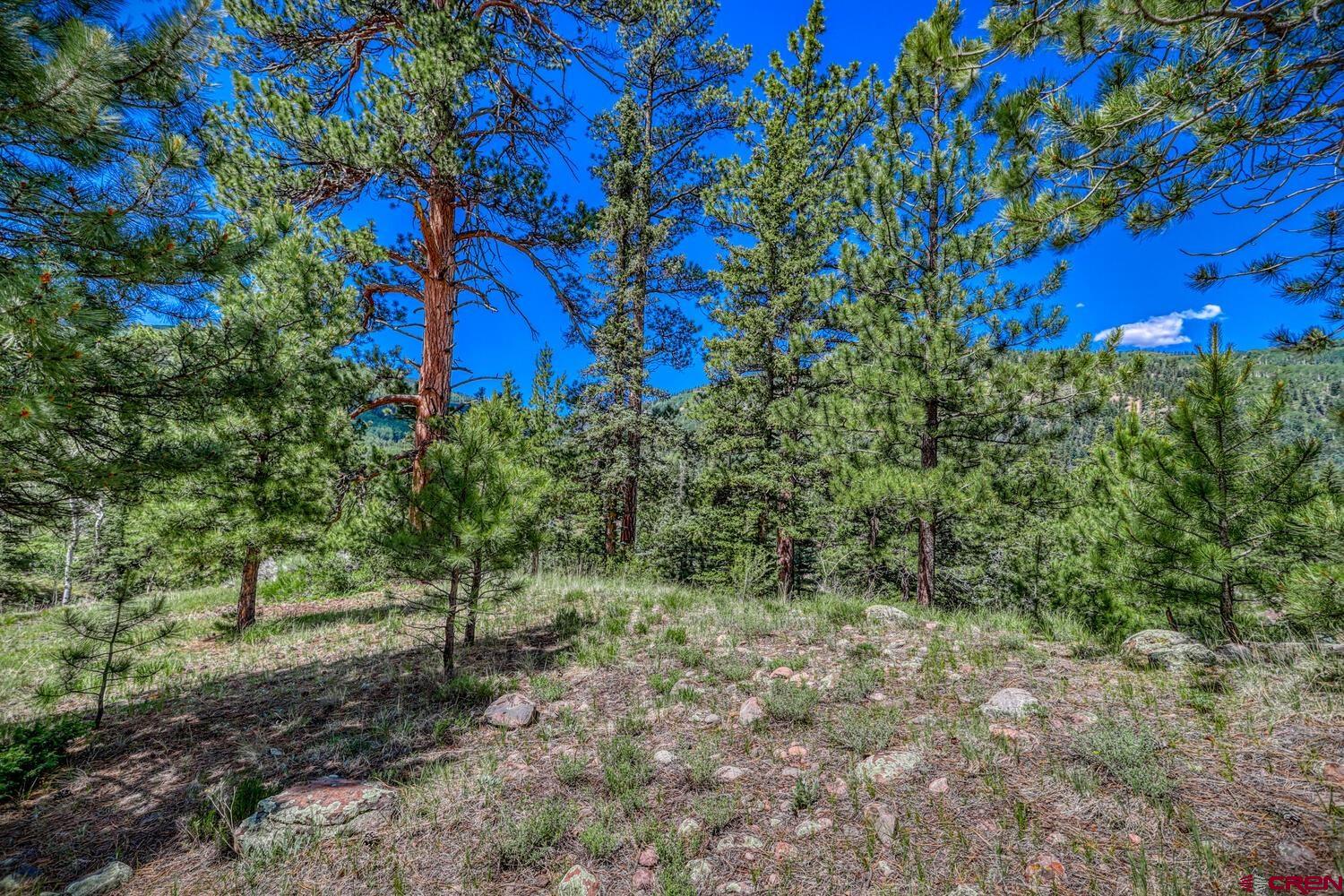 Lot 3 North N Ridge Antonito, CO 81120 - Photo 17 of 35 a view of a yard with a tree