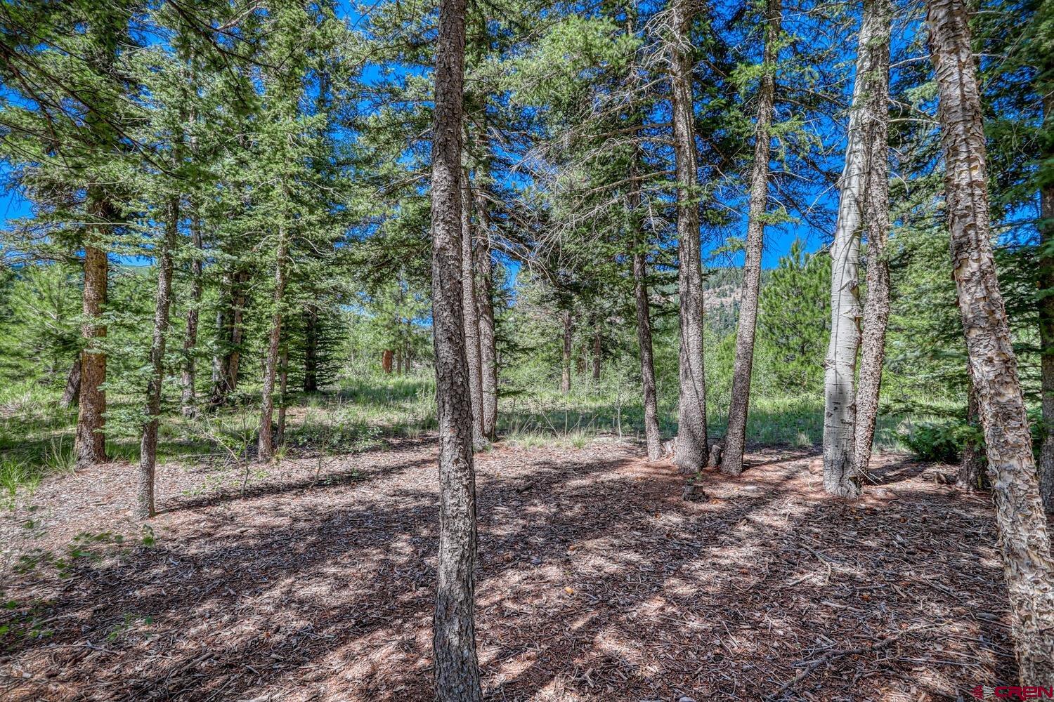 Lot 3 North N Ridge Antonito, CO 81120 - Photo 18 of 35 a view of a yard with a tree