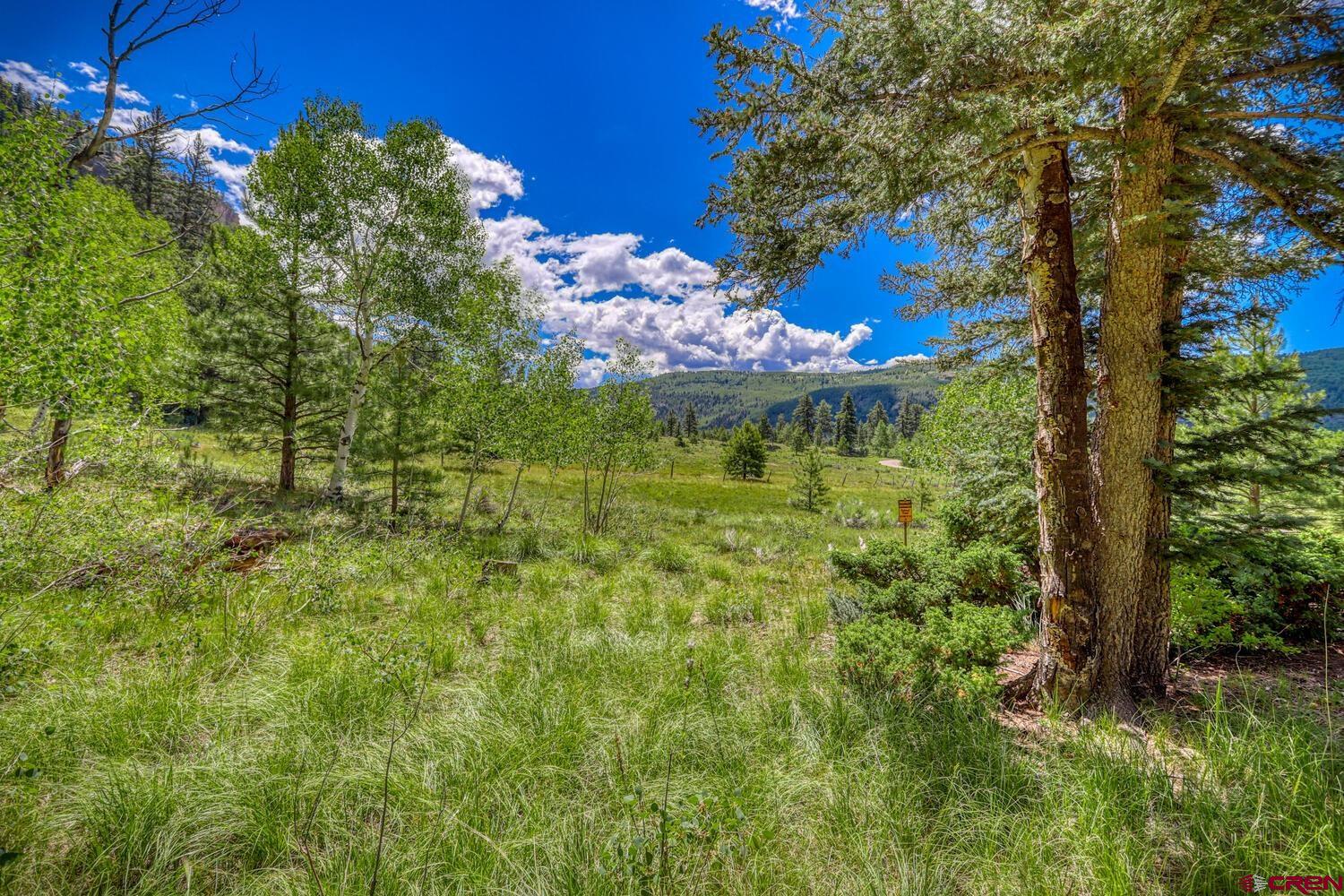 Lot 3 North N Ridge Antonito, CO 81120 - Photo 19 of 35 a view of a flower in a garden