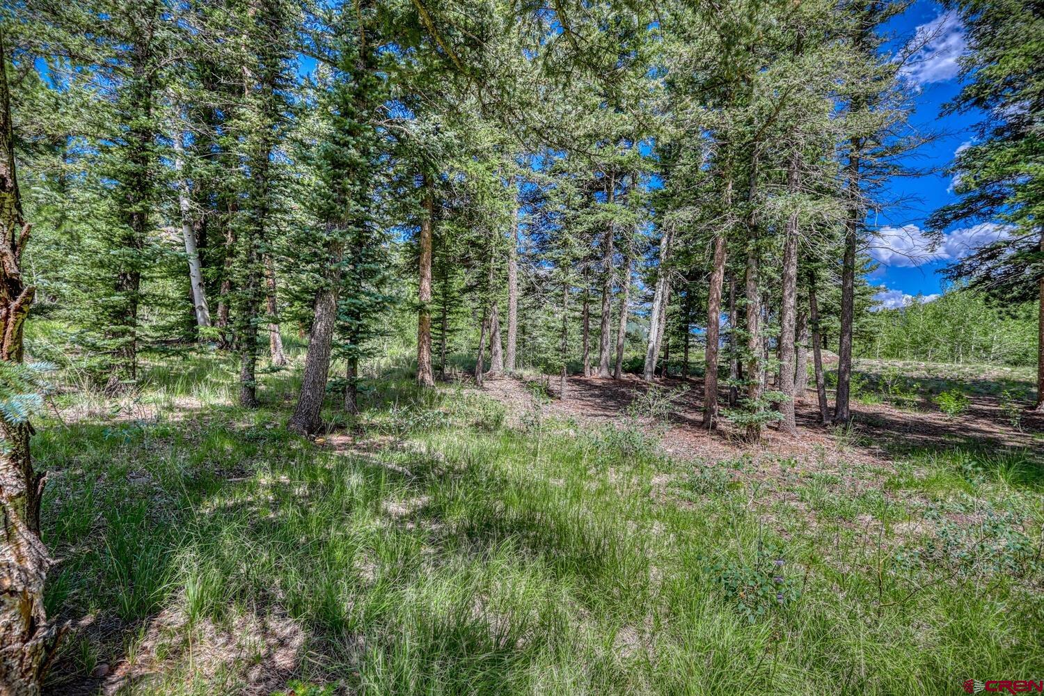 Lot 3 North N Ridge Antonito, CO 81120 - Photo 20 of 35 a view of backyard with green space