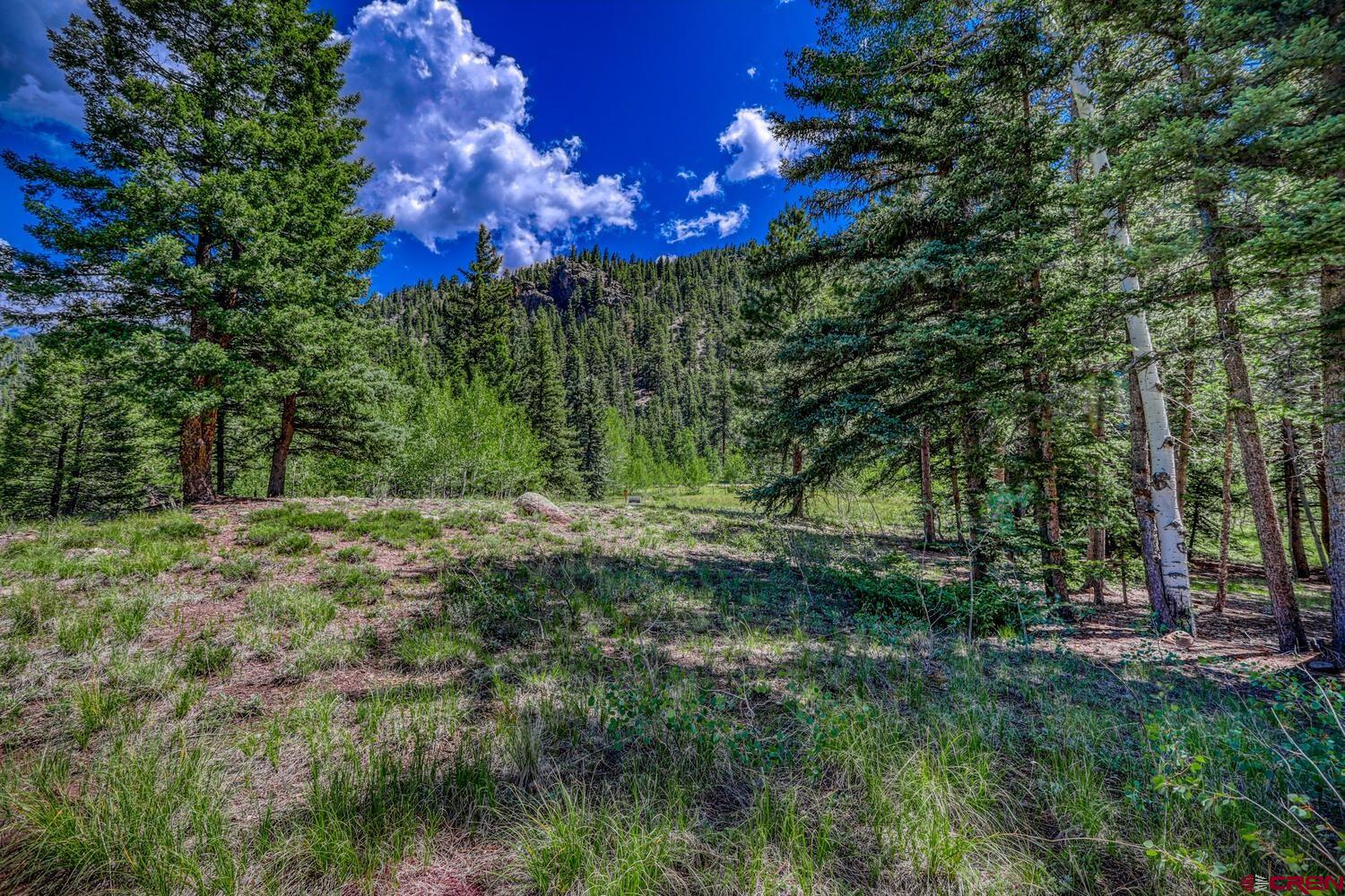 Lot 3 North N Ridge Antonito, CO 81120 - Photo 22 of 35 a view of a yard with a tree
