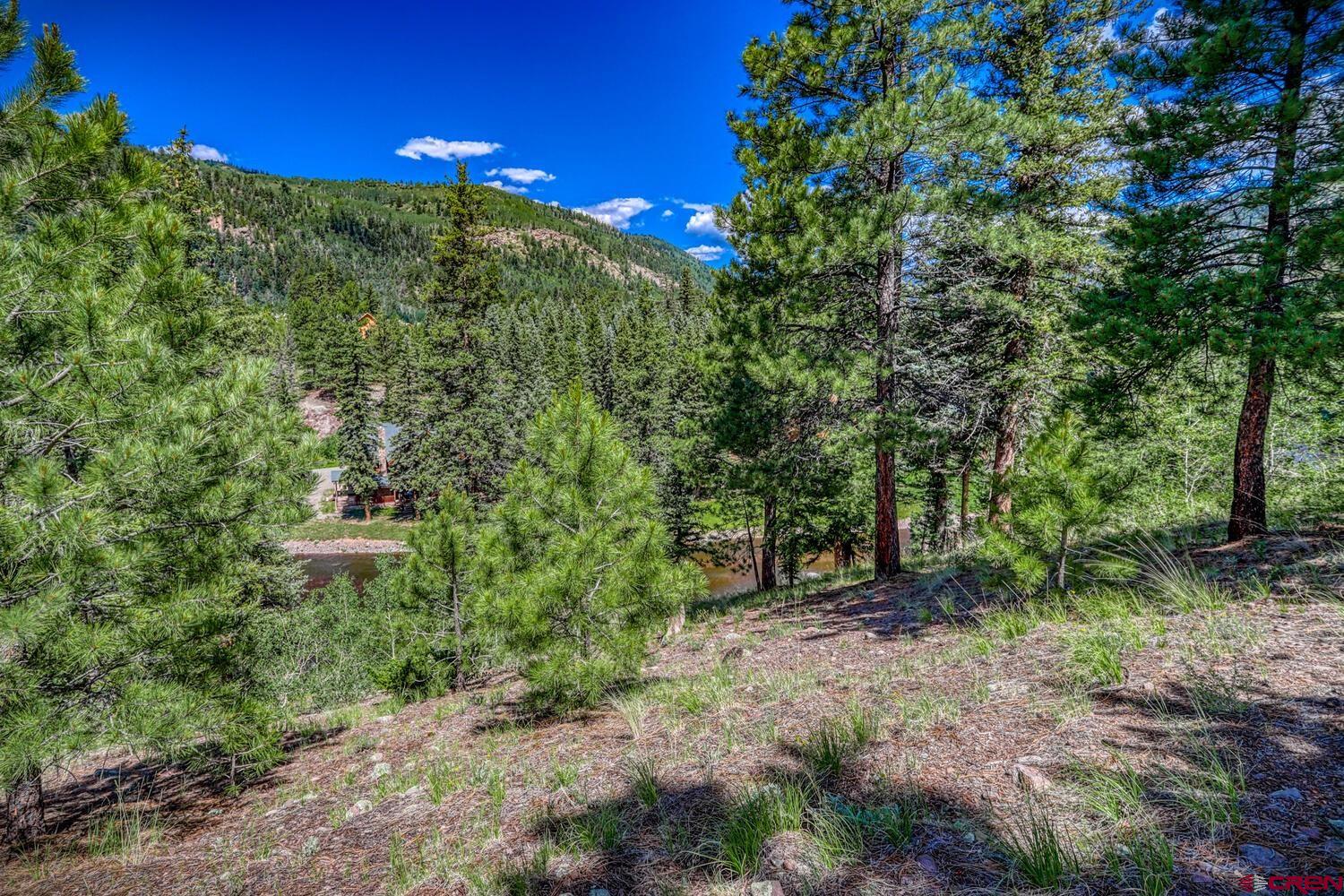 Lot 3 North N Ridge Antonito, CO 81120 - Photo 26 of 35 a view of a forest with a tree
