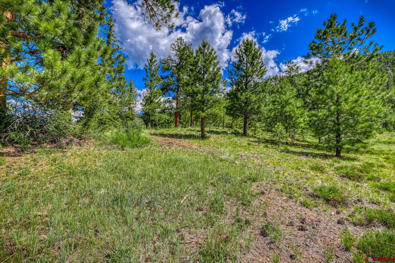 Lot 3 North N Ridge Antonito, CO 81120 - Photo 27 of 35 a view of outdoor space and yard