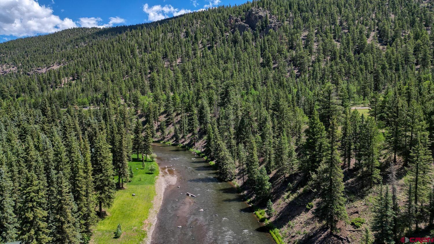 Lot 3 North N Ridge Antonito, CO 81120 - Photo 30 of 35 a view of a yard with plants and large trees