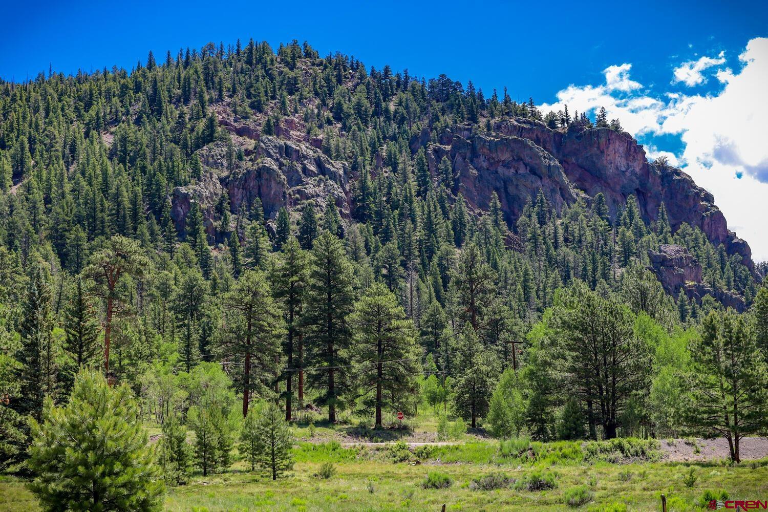Lot 3 North N Ridge Antonito, CO 81120 - Photo 3 of 35 a view of a bunch of trees