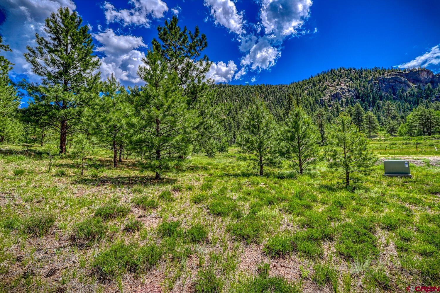 Lot 3 North N Ridge Antonito, CO 81120 - Photo 5 of 35 a view of a yard with a tree