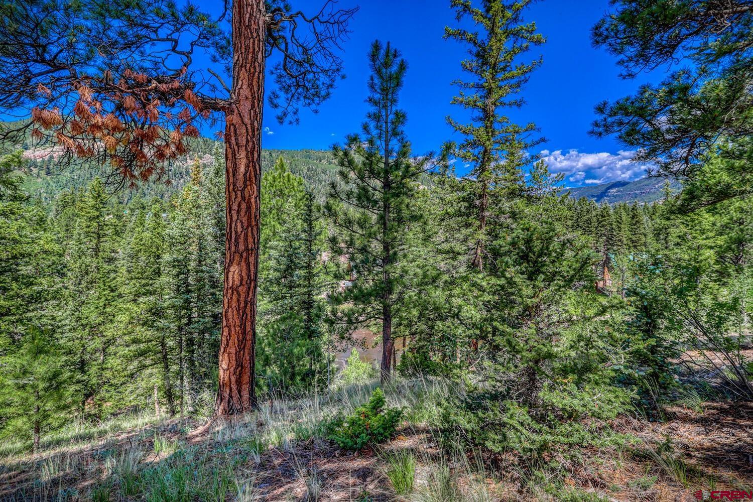 Lot 3 North N Ridge Antonito, CO 81120 - Photo 8 of 35 a view of a forest
