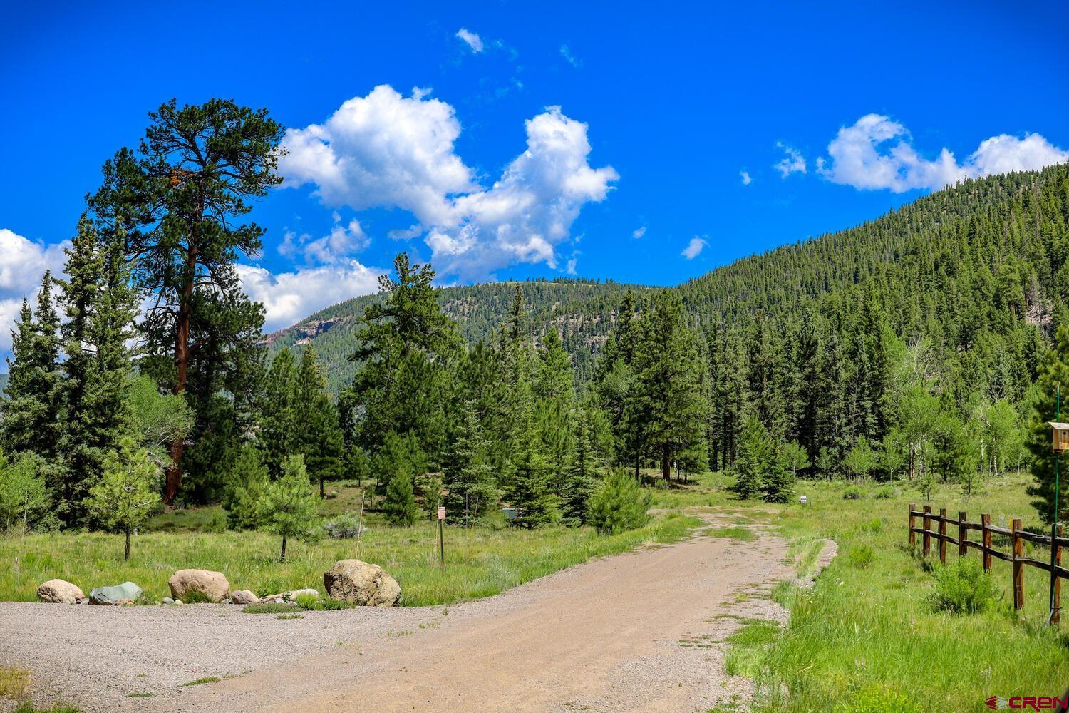 Lot 3 North N Ridge Antonito, CO 81120 - Photo 9 of 35 a view of a flower in a yard