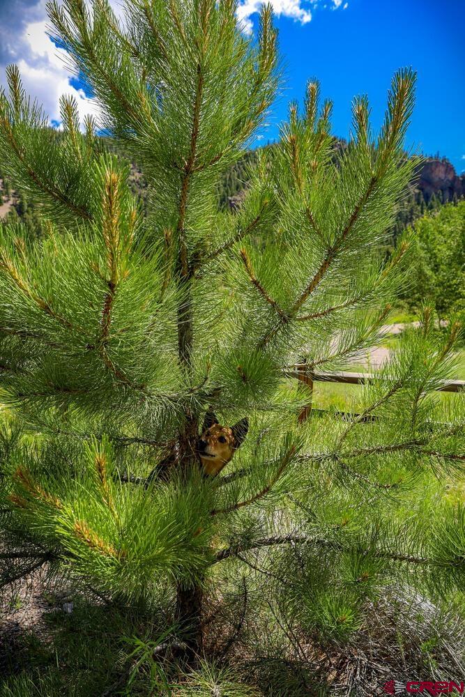 Lot 3 North N Ridge Antonito, CO 81120 - Photo 10 of 35