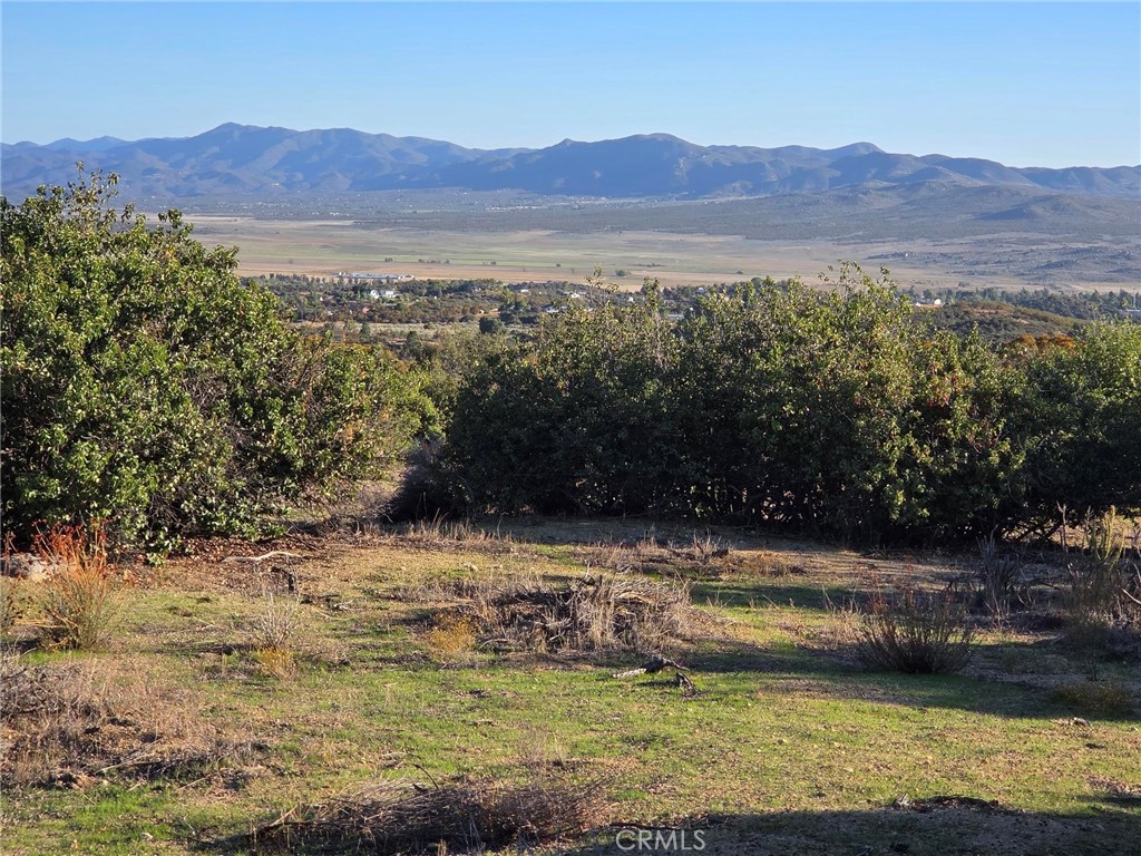 a view of a field with mountains in the background