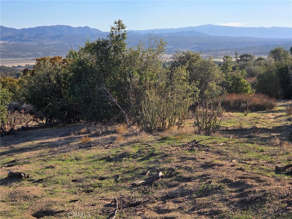 0 Mount Road Anza, CA 92539 - Photo 16 of 25 a view of a yard with wooden fence