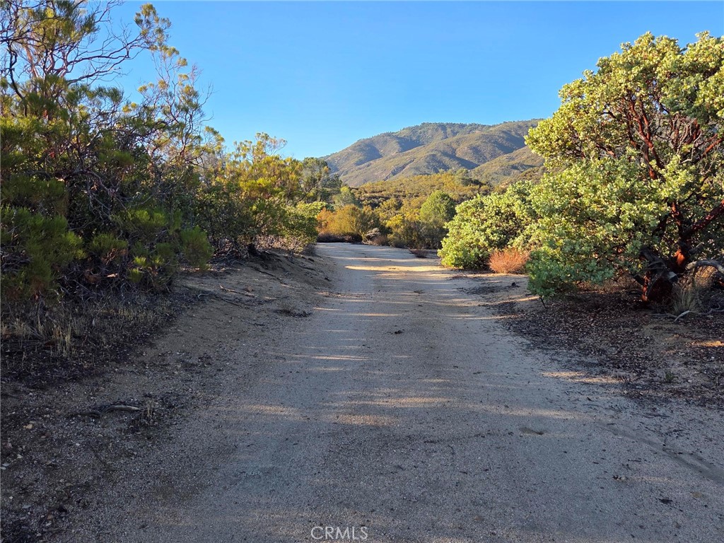 0 Mount Road Anza, CA 92539 - Photo 2 of 25 a view of a yard with a tree