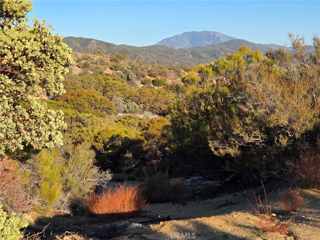 0 Mount Road Anza, CA 92539 - Photo 21 of 25 a view of a mountain